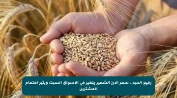 رفيع الحبة.. سعر الأرز الشعير يتغير في الأسواق السبت ويثير اهتمام المشترين